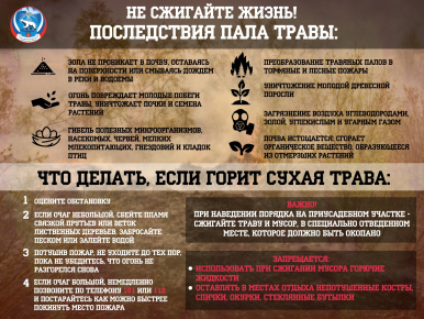 Пал травы может иметь катастрофические последствия