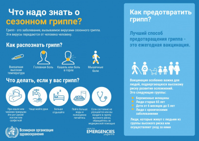Что надо знать о сезонном гриппе