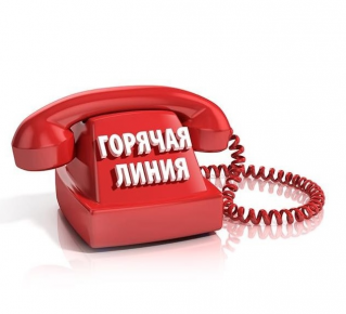 Телефоны "горячих линий" по вопросам организации начала нового учебного года в общеобразовательных организациях, организациях дополнительного образования и дошкольных образовательных организациях