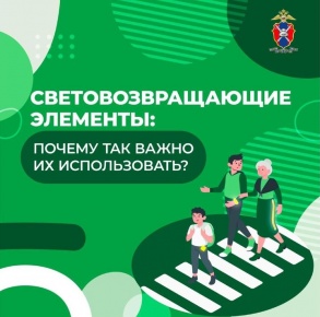 Областная акция «Засветись!»