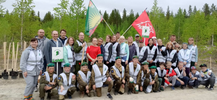 Жители города Апатиты высадили две тысячи деревьев в память о защитниках Заполярья