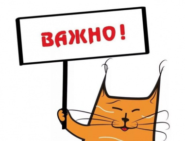Теперь вы сами можете решать, как меняется город